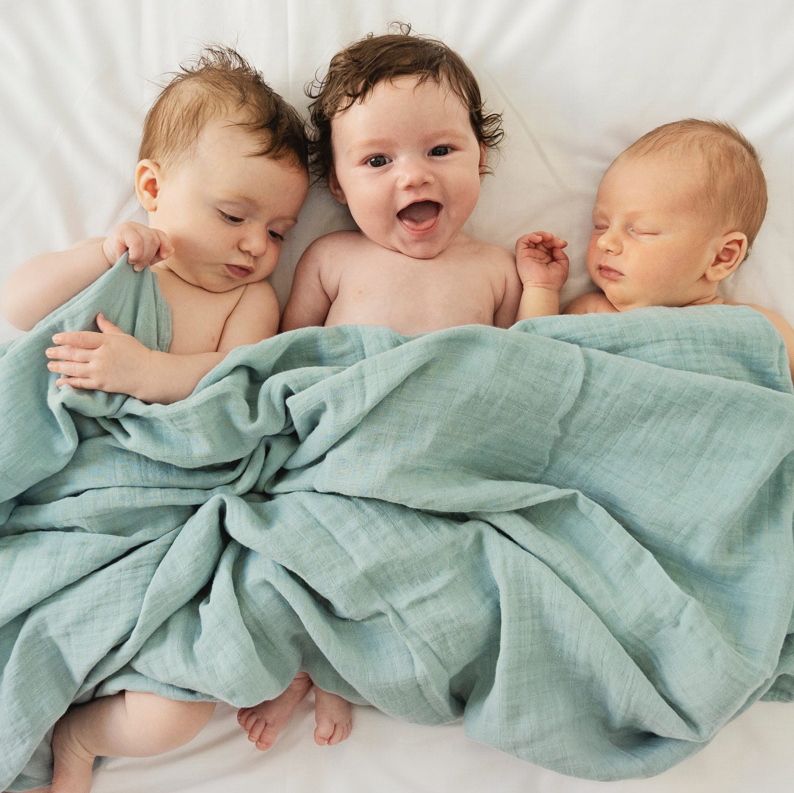 Three babies covered with muslin blanket 