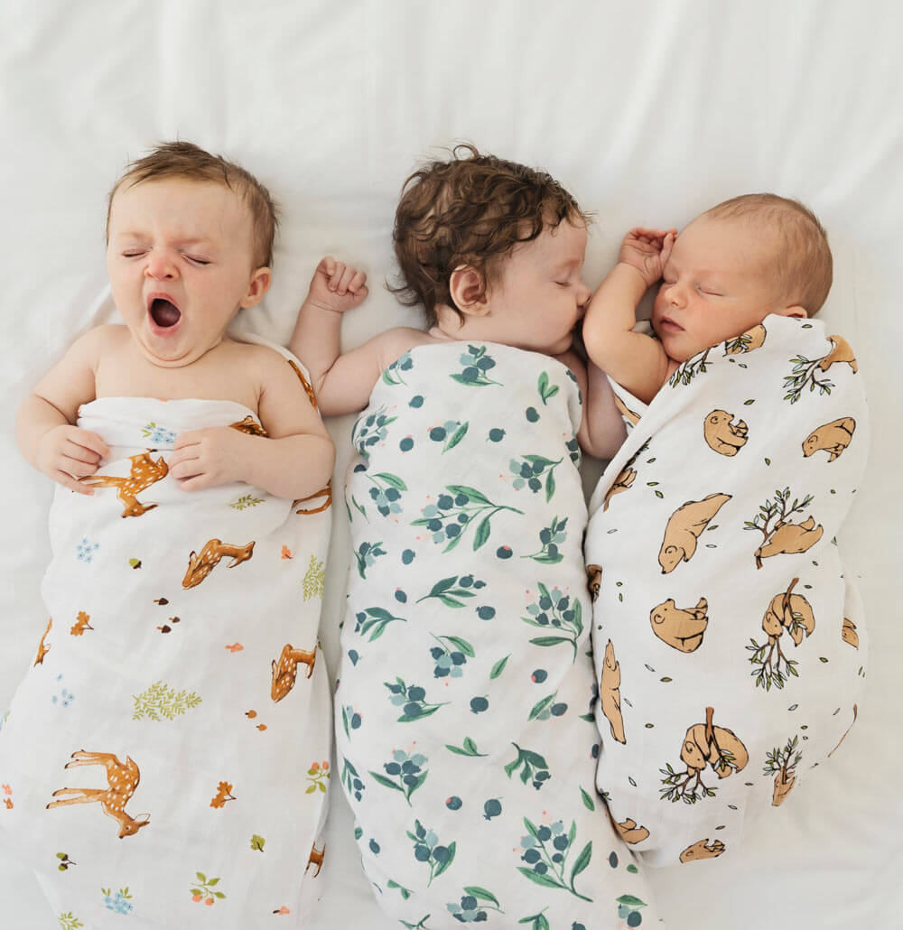 Three swaddled babies