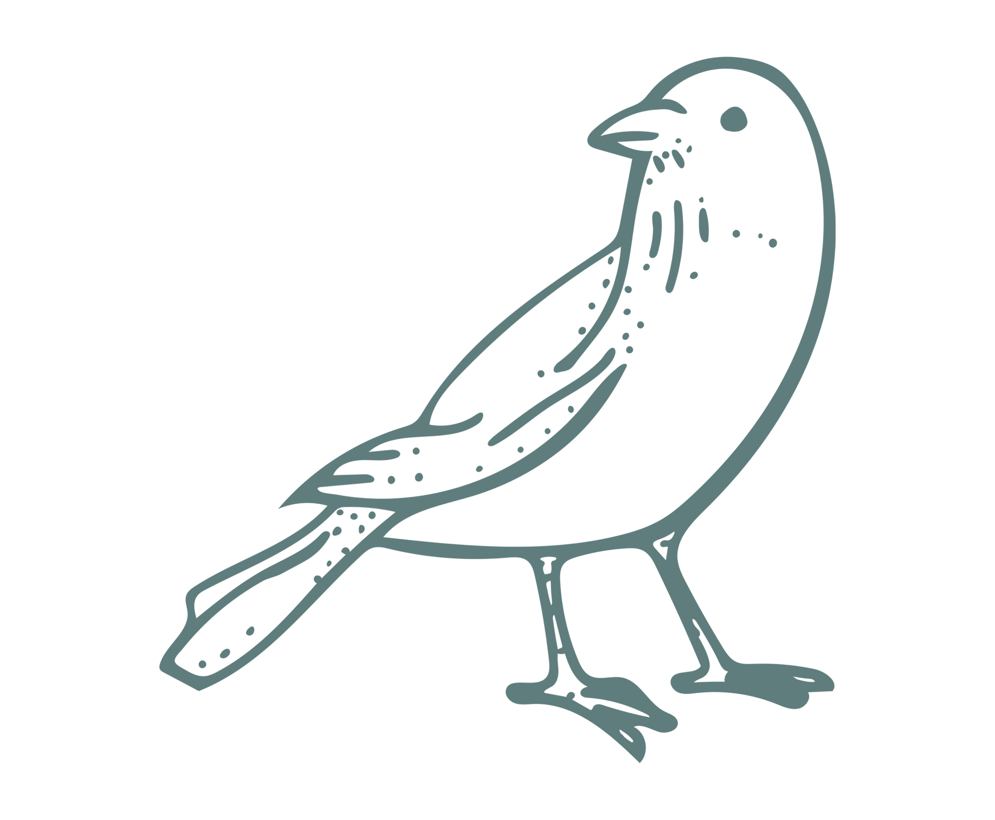 Little Blue Nest bird logo