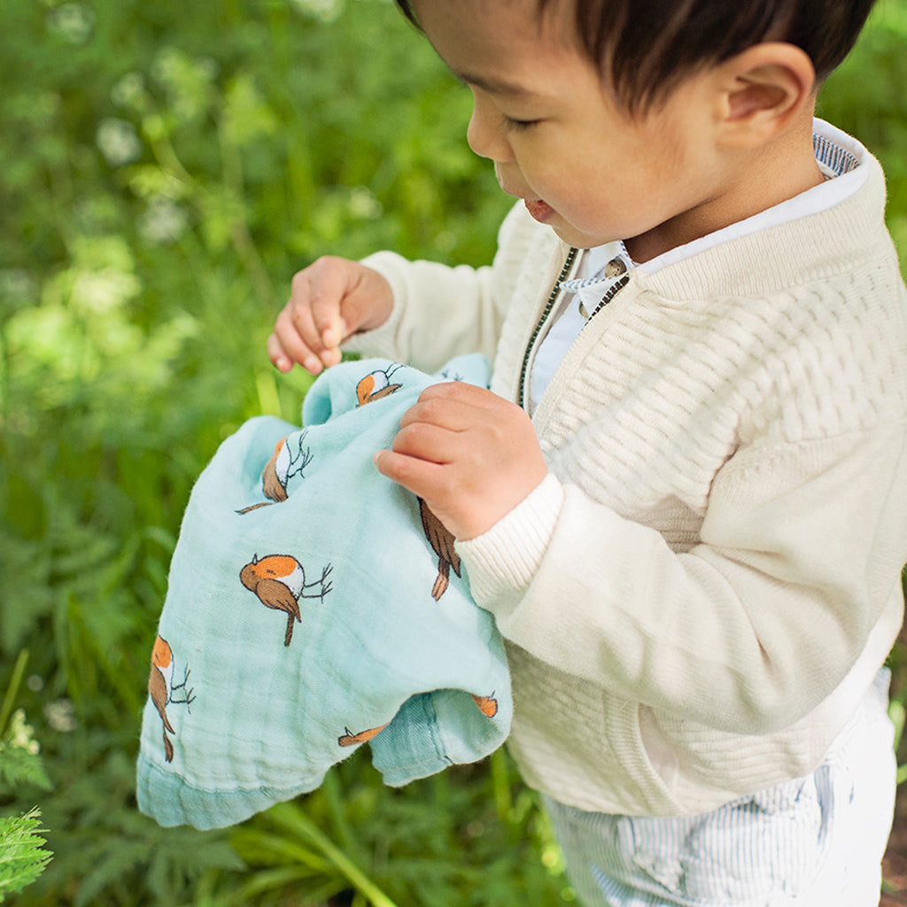 Organic cotton muslin comforter security - et - Little robin.